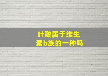 叶酸属于维生素b族的一种吗