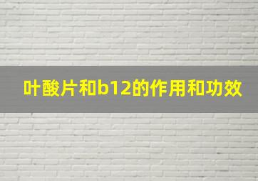 叶酸片和b12的作用和功效