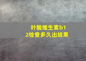 叶酸维生素b12检查多久出结果