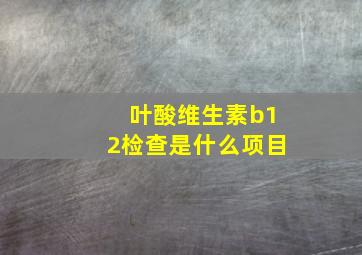 叶酸维生素b12检查是什么项目