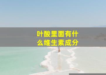 叶酸里面有什么维生素成分