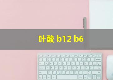 叶酸 b12 b6