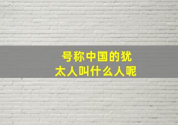 号称中国的犹太人叫什么人呢