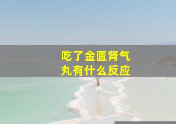 吃了金匮肾气丸有什么反应