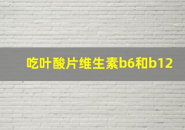 吃叶酸片维生素b6和b12