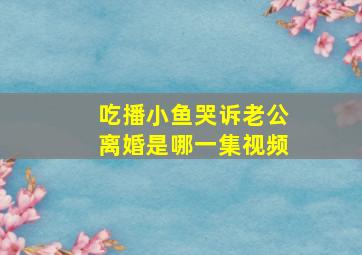 吃播小鱼哭诉老公离婚是哪一集视频