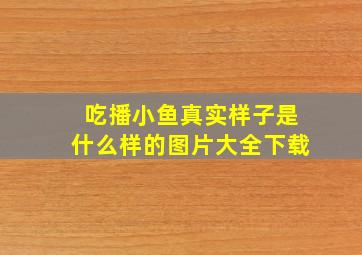 吃播小鱼真实样子是什么样的图片大全下载