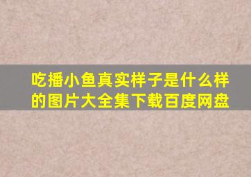 吃播小鱼真实样子是什么样的图片大全集下载百度网盘