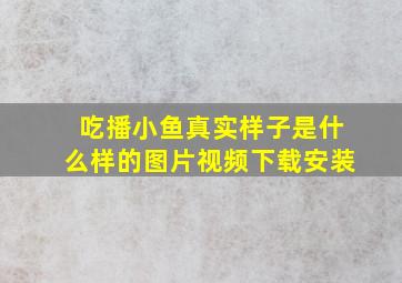 吃播小鱼真实样子是什么样的图片视频下载安装