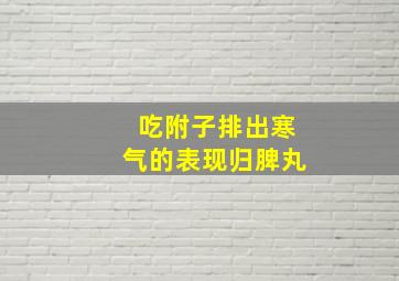 吃附子排出寒气的表现归脾丸