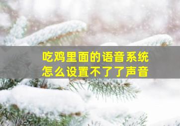 吃鸡里面的语音系统怎么设置不了了声音