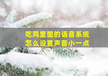 吃鸡里面的语音系统怎么设置声音小一点