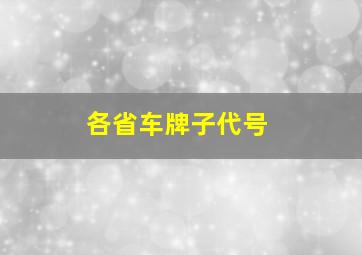 各省车牌子代号