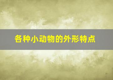 各种小动物的外形特点