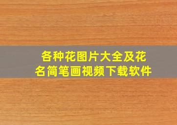 各种花图片大全及花名简笔画视频下载软件