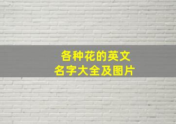 各种花的英文名字大全及图片