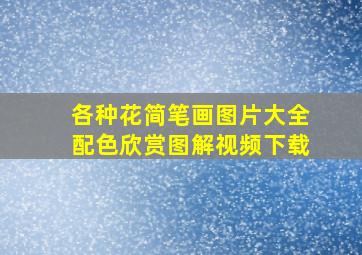 各种花简笔画图片大全配色欣赏图解视频下载