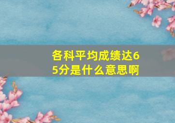 各科平均成绩达65分是什么意思啊