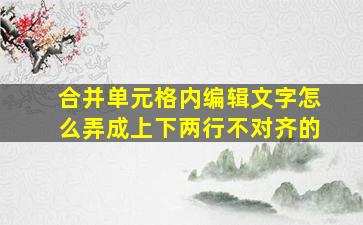 合并单元格内编辑文字怎么弄成上下两行不对齐的