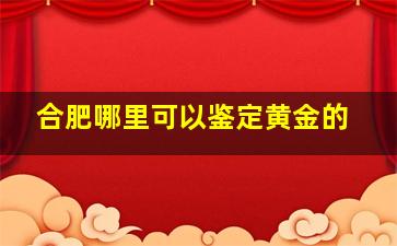 合肥哪里可以鉴定黄金的