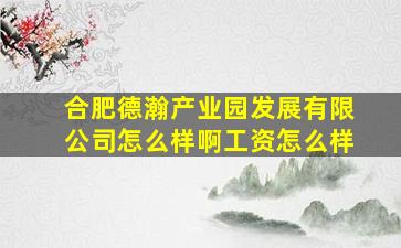 合肥德瀚产业园发展有限公司怎么样啊工资怎么样