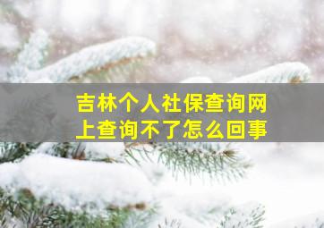 吉林个人社保查询网上查询不了怎么回事