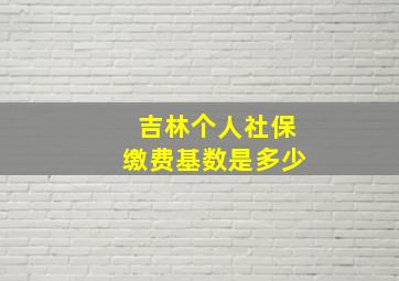 吉林个人社保缴费基数是多少