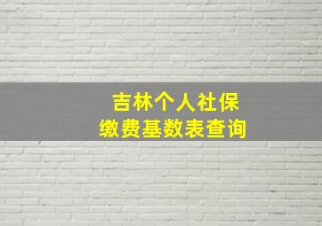 吉林个人社保缴费基数表查询