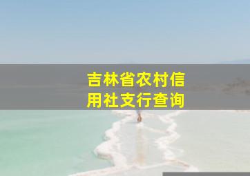 吉林省农村信用社支行查询