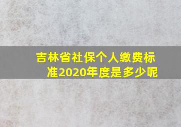 吉林省社保个人缴费标准2020年度是多少呢