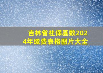 吉林省社保基数2024年缴费表格图片大全