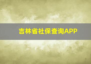 吉林省社保查询APP