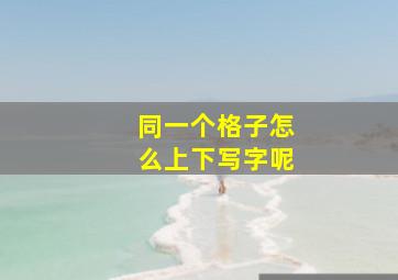 同一个格子怎么上下写字呢