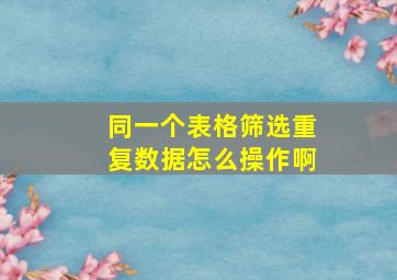 同一个表格筛选重复数据怎么操作啊