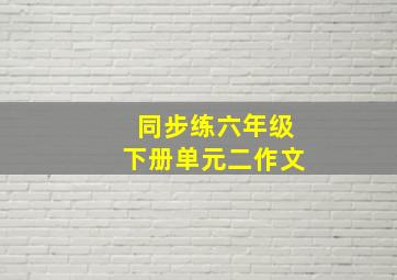 同步练六年级下册单元二作文