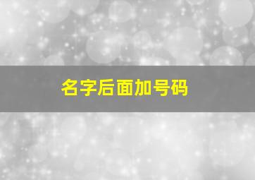 名字后面加号码