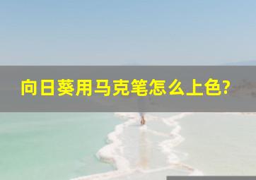 向日葵用马克笔怎么上色?