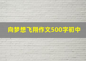 向梦想飞翔作文500字初中