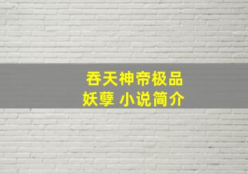 吞天神帝极品妖孽 小说简介