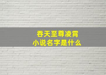 吞天至尊凌霄小说名字是什么