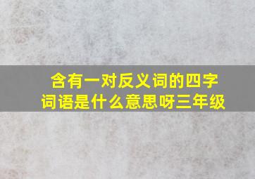 含有一对反义词的四字词语是什么意思呀三年级