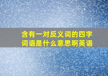 含有一对反义词的四字词语是什么意思啊英语