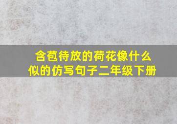 含苞待放的荷花像什么似的仿写句子二年级下册