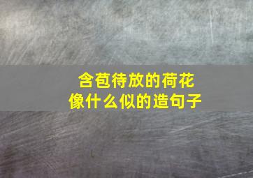 含苞待放的荷花像什么似的造句子