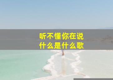 听不懂你在说什么是什么歌