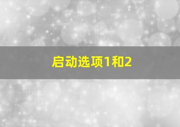 启动选项1和2