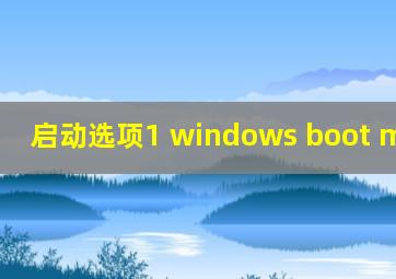 启动选项1 windows boot manager