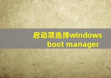 启动项选择windows boot manager