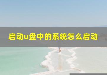 启动u盘中的系统怎么启动