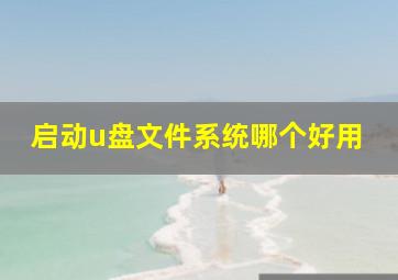 启动u盘文件系统哪个好用